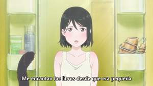 Kanojo to Kanojo no Neko: Everything Flows